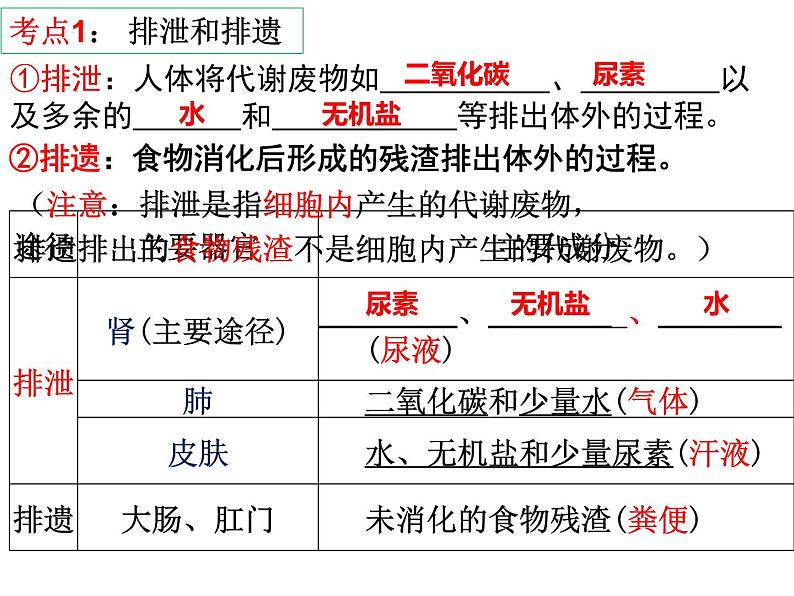 第11章 人体代谢废物的排出-【期末通关】2022-2023学年七年级下学期生物考点精讲与要点归纳（北师大版）课件PPT第2页