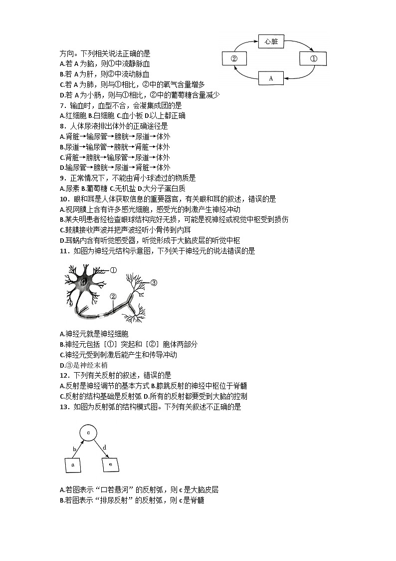 安徽省淮南市凤台县2022-2023学年七年级下学期生物期末测试（含答案）02