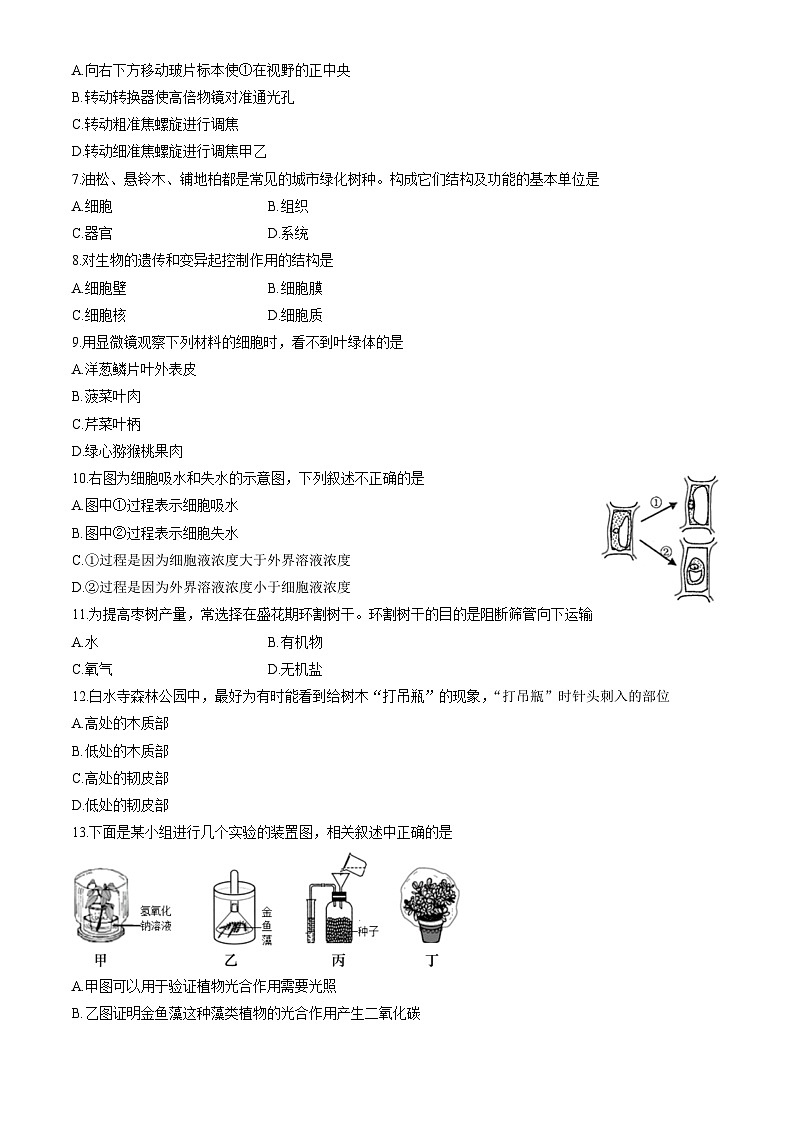 北京市燕山区2022-2023学年七年级下学期6月期末生物试题（含答案）第2页
