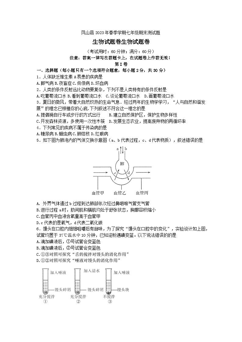 广西河池市凤山县2022-2023学年七年级下学期期末考试生物试题（含答案）01