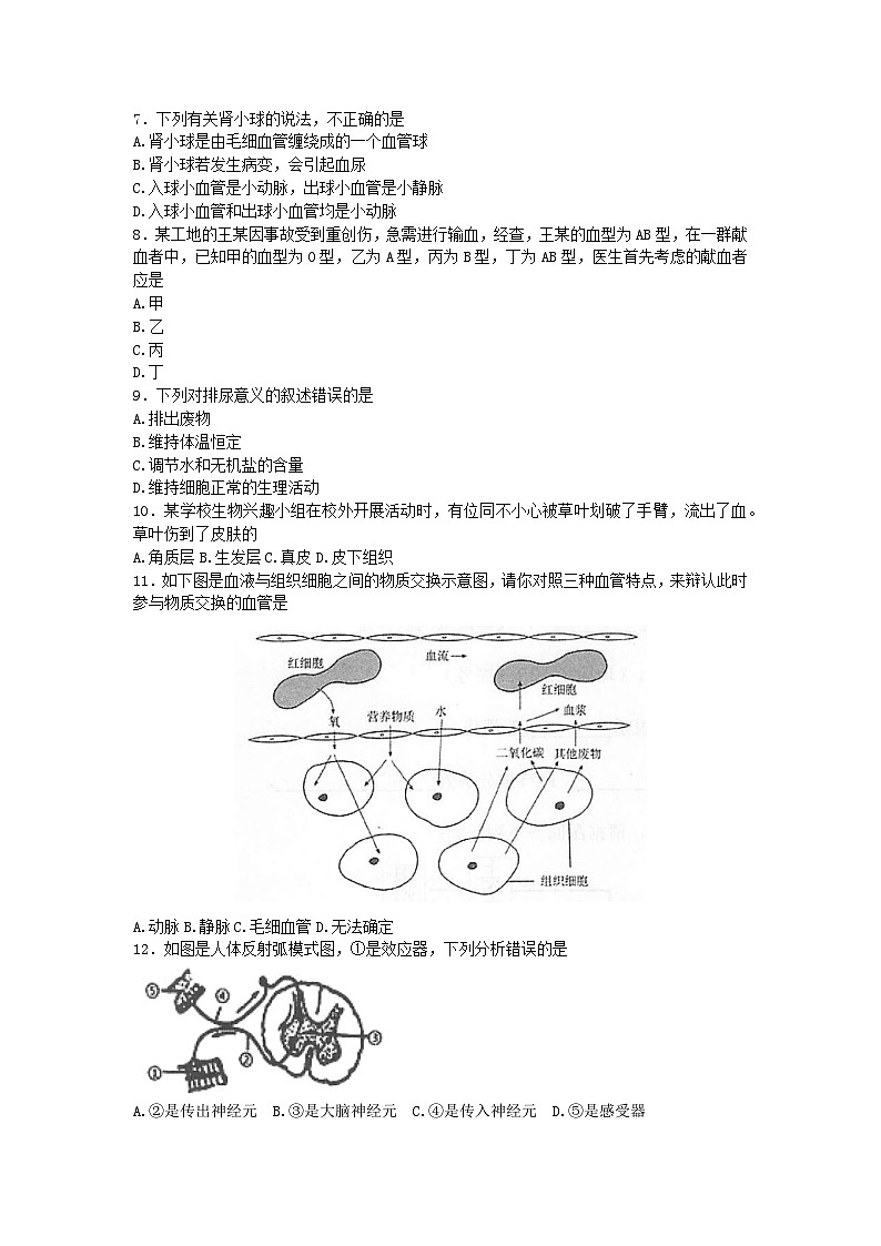 广西河池市凤山县2022-2023学年七年级下学期期末考试生物试题（含答案）02