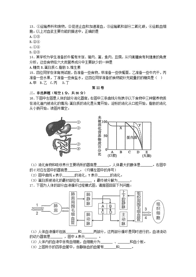 广西河池市凤山县2022-2023学年七年级下学期期末考试生物试题（含答案）03
