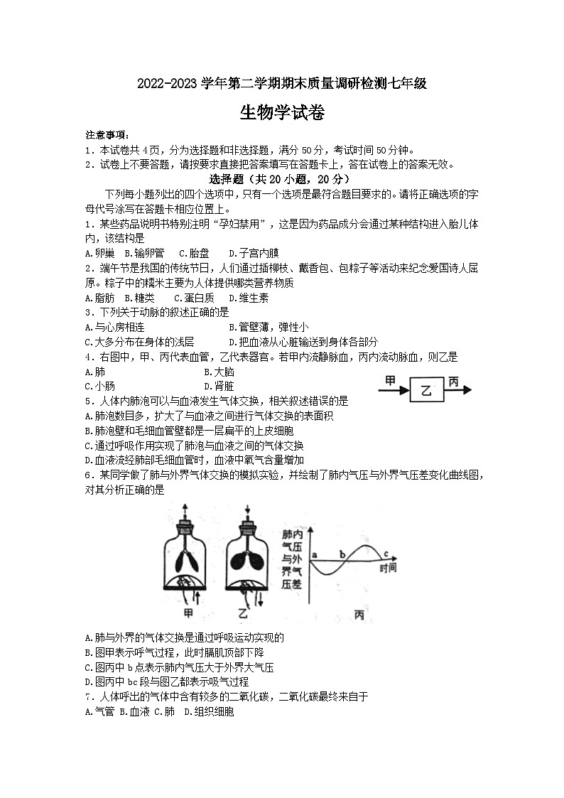 河南省洛阳市伊川县2022-2023学年七年级下学期期末生物试题（含答案）01
