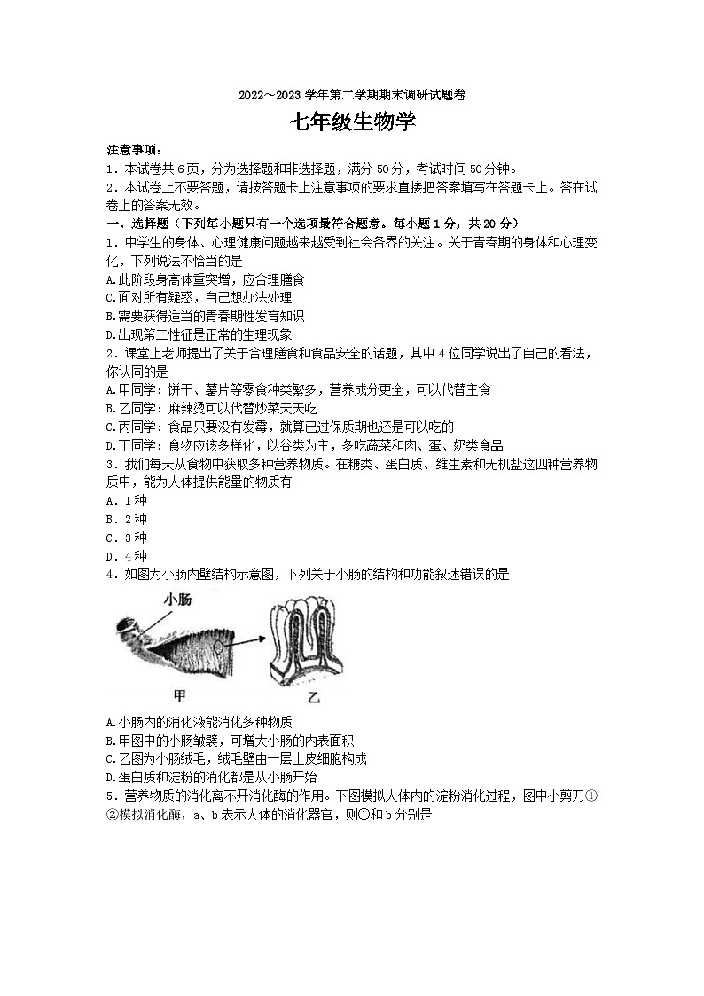 河南省平顶山市2022-2023学年七年级下学期期末调研考试生物试题（含答案）第1页