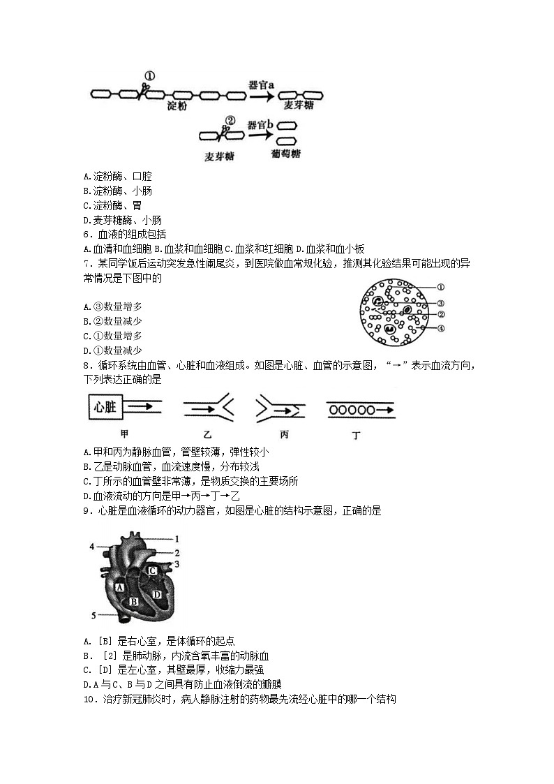 河南省平顶山市2022-2023学年七年级下学期期末调研考试生物试题（含答案）第2页
