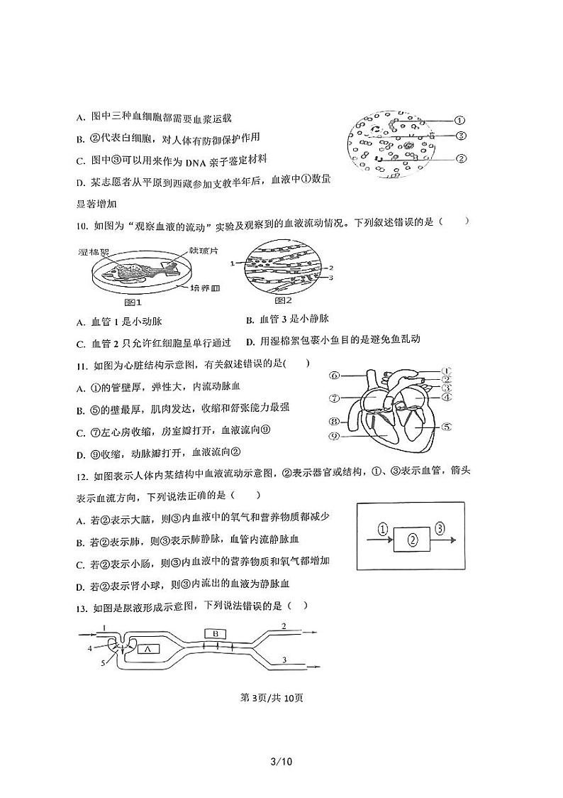 山东省济宁市嘉祥县2022-2023学年七年级下学期期末学业水平测试生物试题03