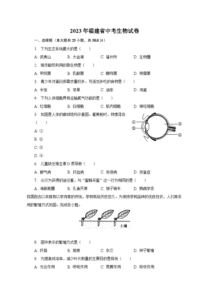 2023年福建省中考生物试卷（含解析）01