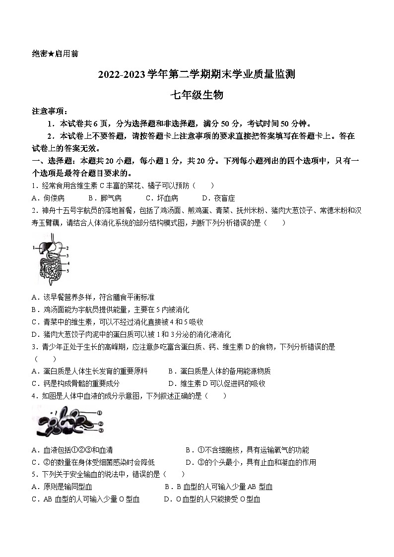 河南省安阳市等2地2022-2023学年七年级下学期期末生物试题（含答案）01