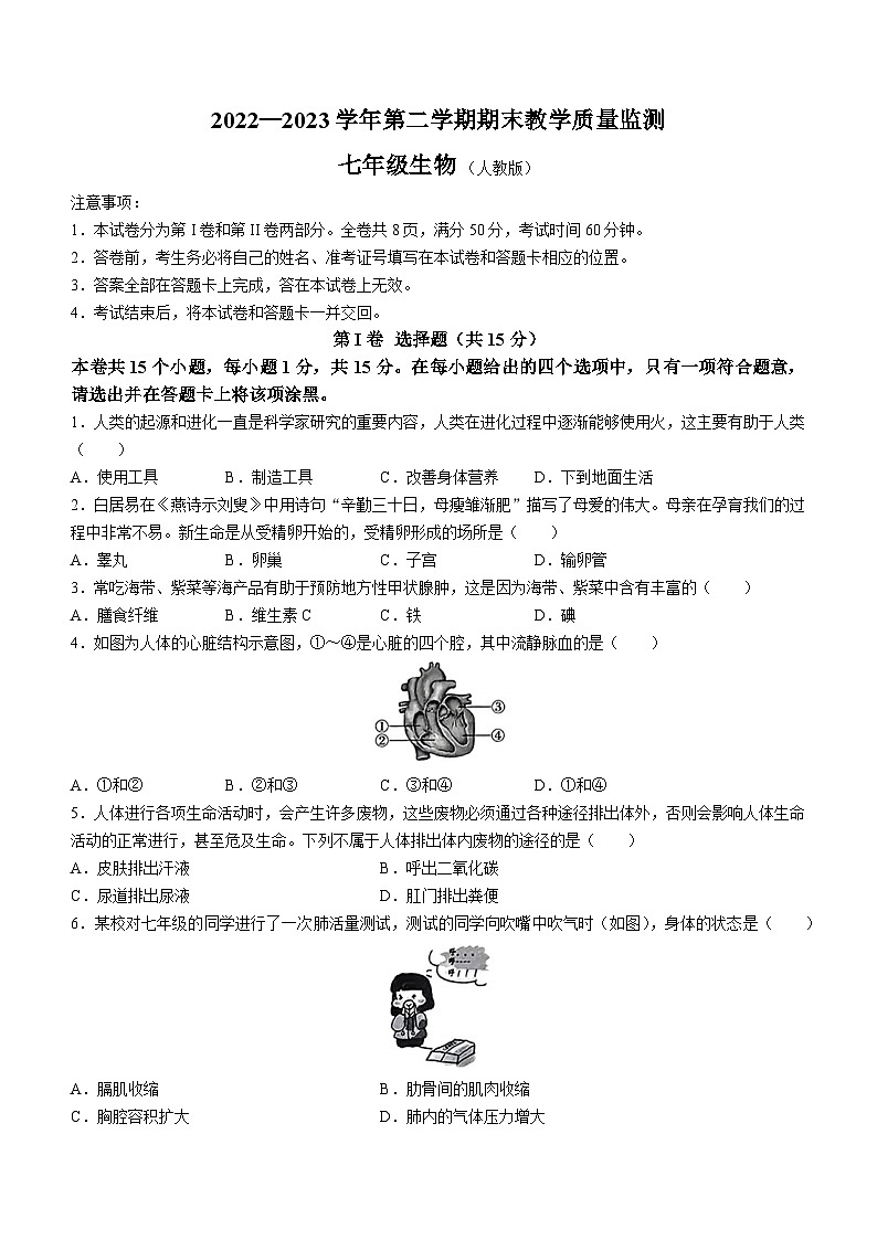 山西省阳泉市第十一中学校2022-2023学年七年级下学期期末生物试题（含答案）01