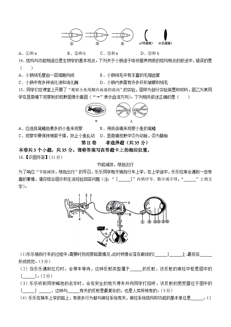 山西省阳泉市第十一中学校2022-2023学年七年级下学期期末生物试题（含答案）03