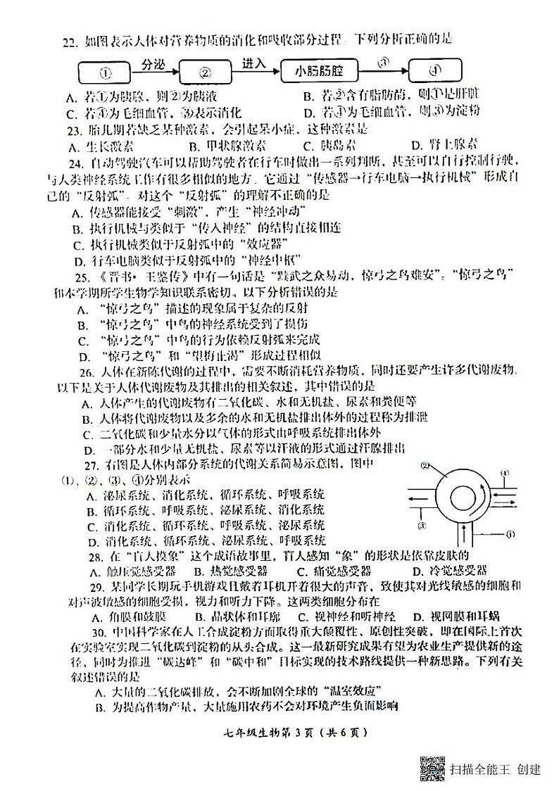 河南省洛阳市2022-2023学年七年级下学期期末考试生物试题03