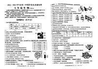 山东省济南市槐荫区2022-2023学年七年级下学期生物期末检测题