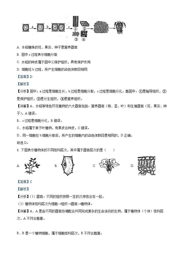 精品解析：江苏省泰兴市2022-2023学年七年级下学期期末生物试题（解析版）第3页