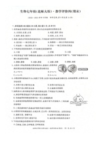 安徽省淮北市五校联考2022-2023学年七年级下学期期末考试生物试题