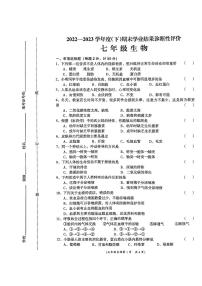 安徽省界首市砖集中心学校2022-2023学年度七年级下学期生物期末测试题