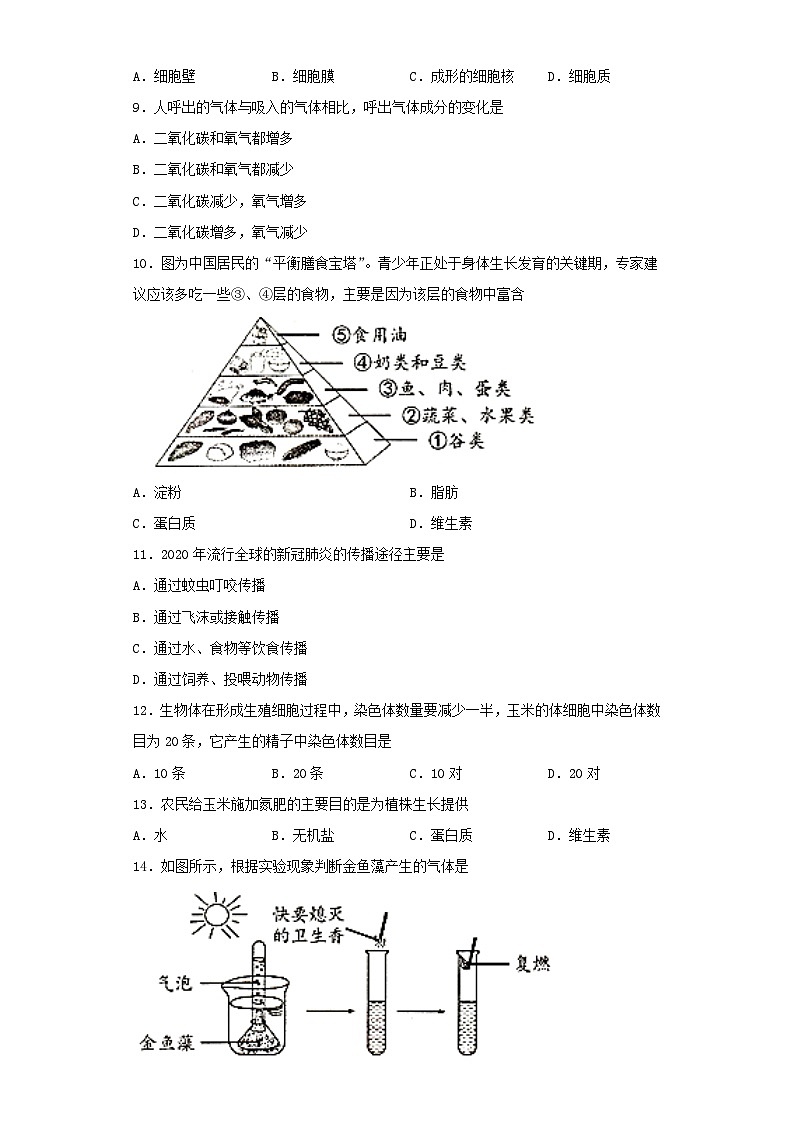 _2021年吉林辽源中考生物真题及答案02