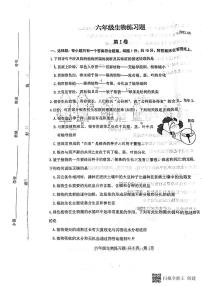 山东省泰安市岱岳区2022-2023学年六年级下学期期末生物试题