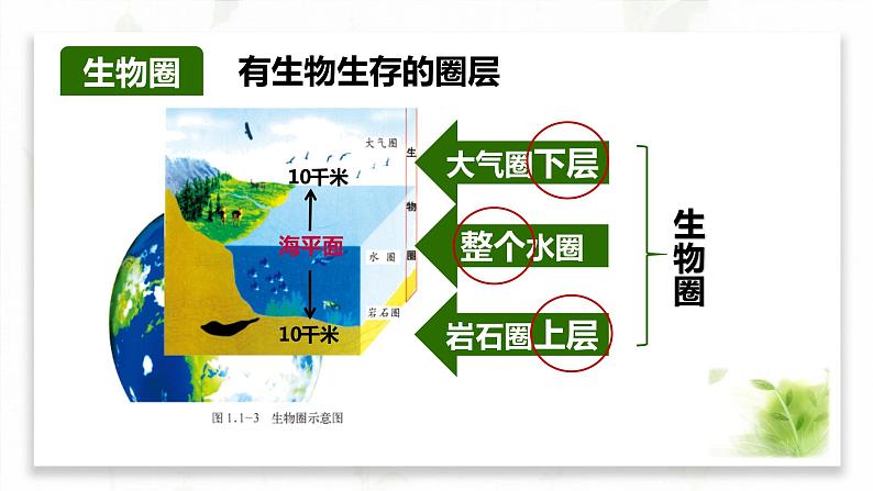 1.2生物的生活环境课件PPT07