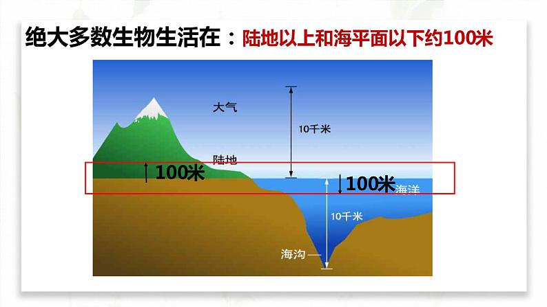 1.2生物的生活环境课件PPT08