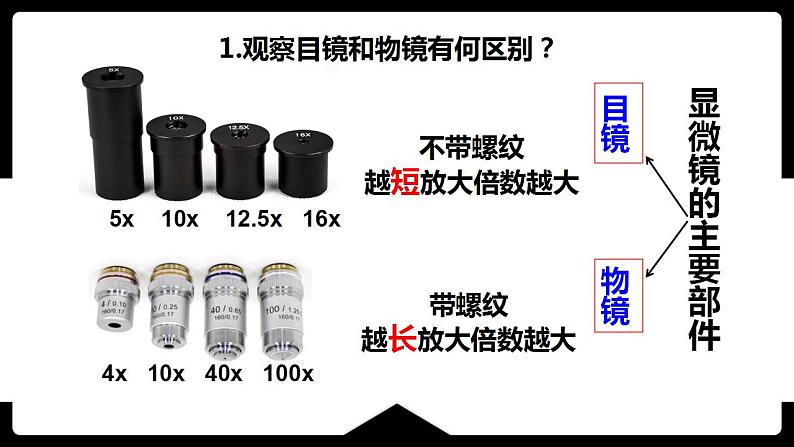 1.4生物学的研究工具课件PPT07