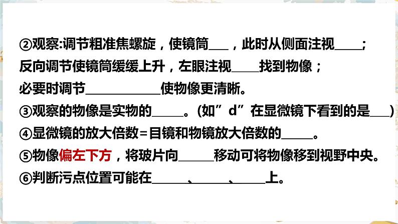 2.1细胞的结构和功能课件PPT第2页