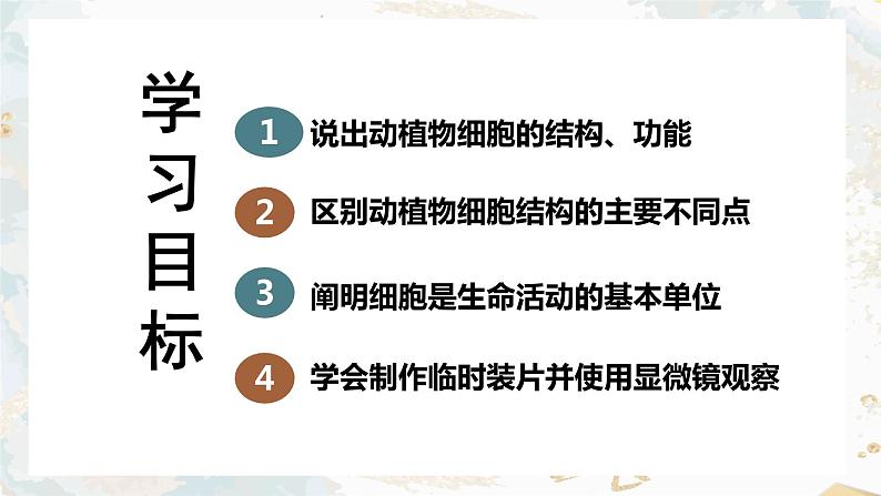 2.1细胞的结构和功能课件PPT第5页