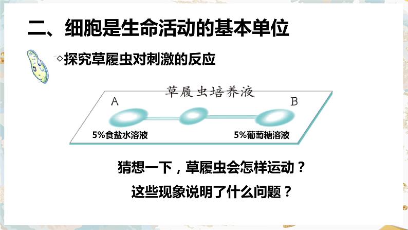 2.1细胞的结构和功能课件PPT第7页