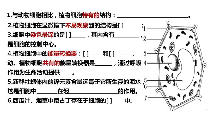 2.2细胞的分裂与分化课件PPT02