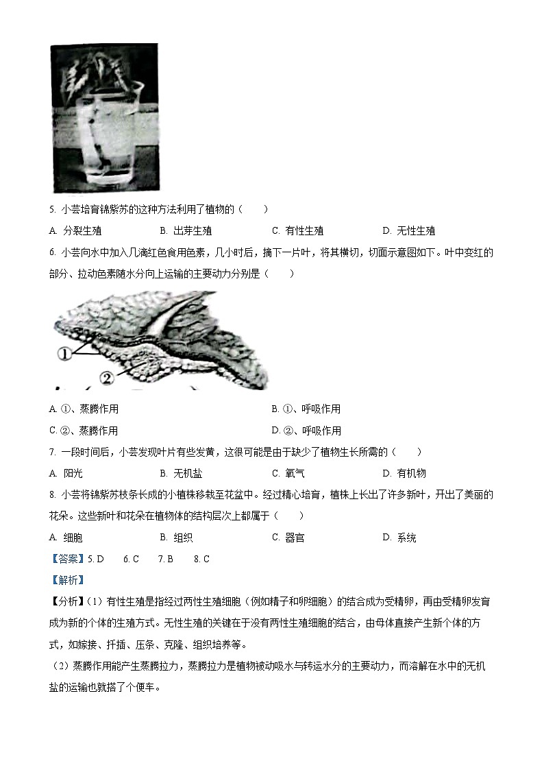 2023年山西省晋中市中考生物真题（含答案解析）03