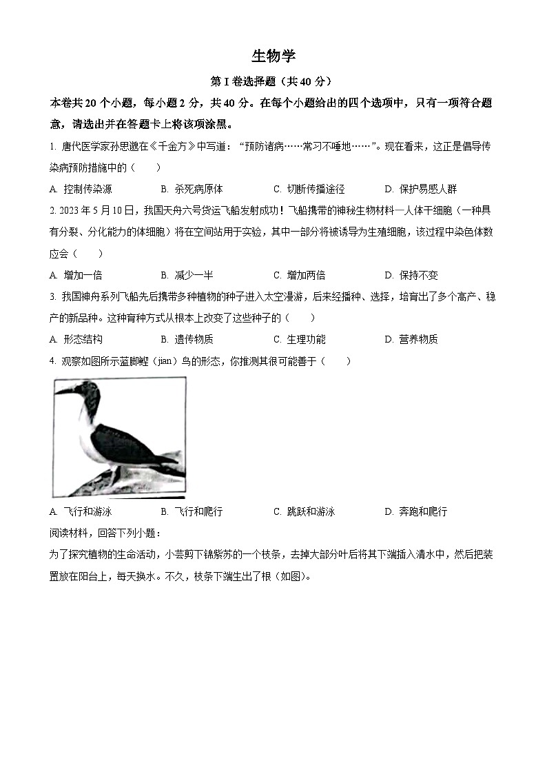 2023年山西省晋中市中考生物真题（含答案解析）01