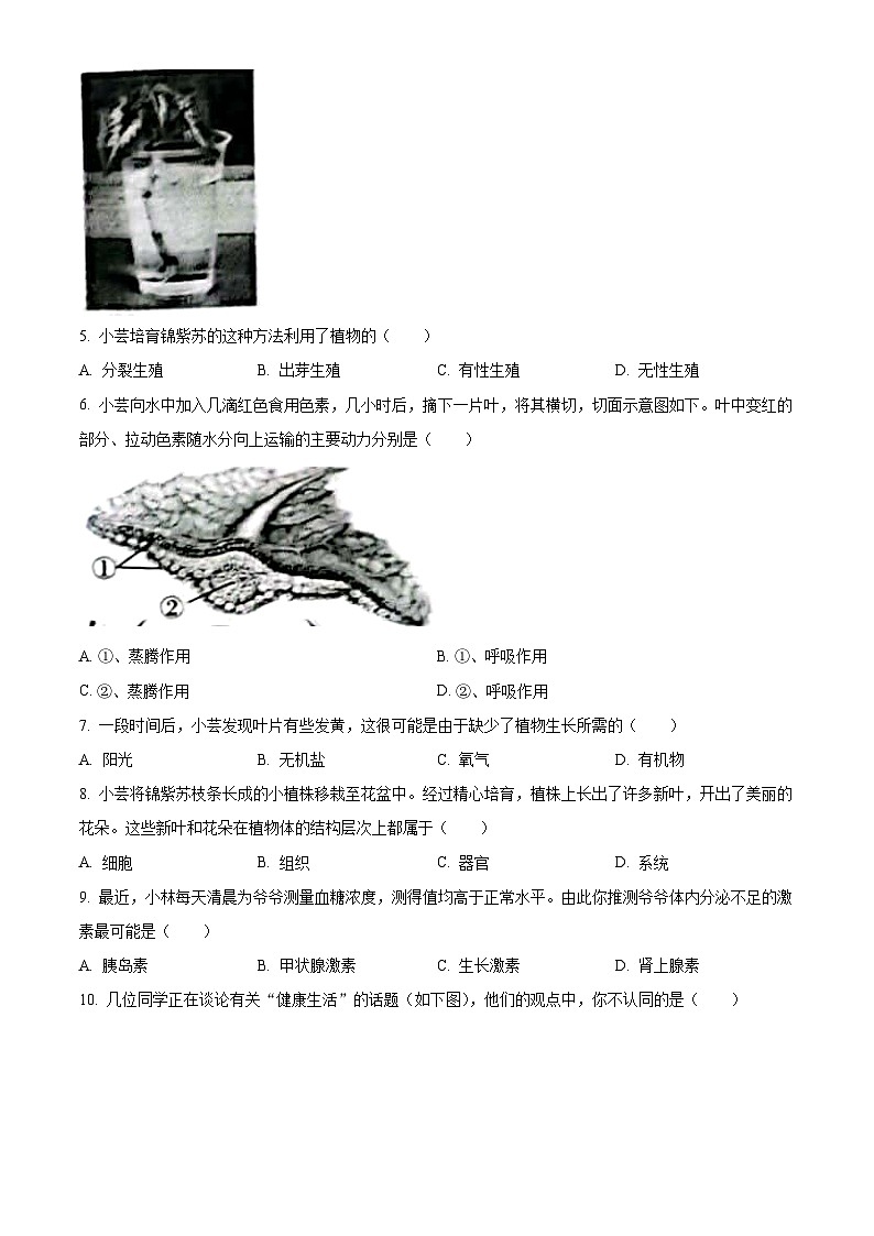 2023年山西省晋中市中考生物真题（含答案解析）02