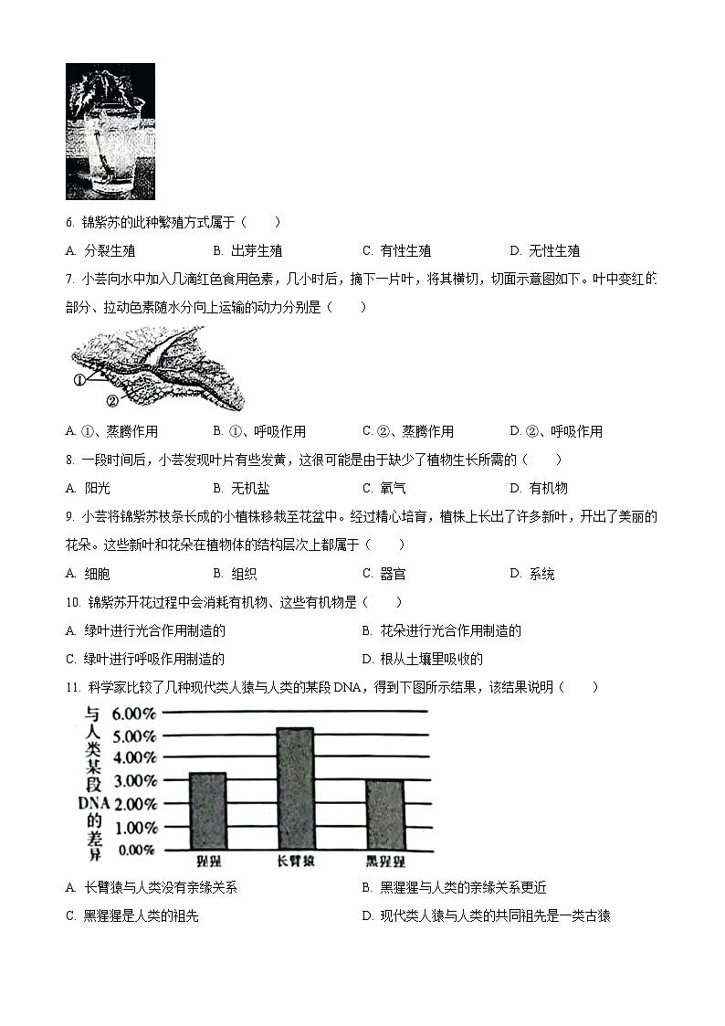 2023年山西省阳泉市中考生物真题（含答案解析）02