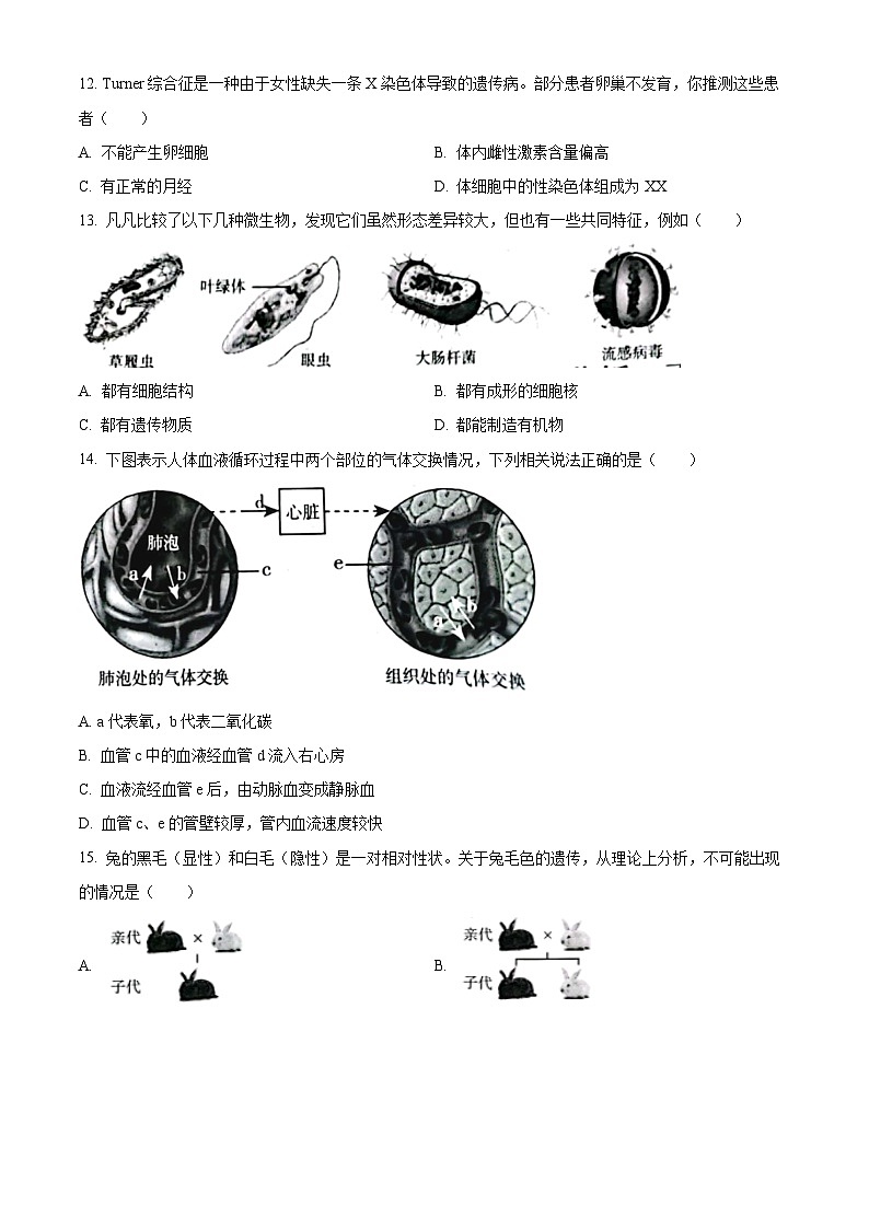 2023年山西省阳泉市中考生物真题（含答案解析）03