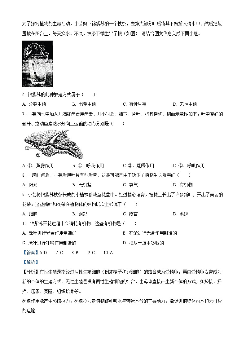 2023年山西省阳泉市中考生物真题（含答案解析）03