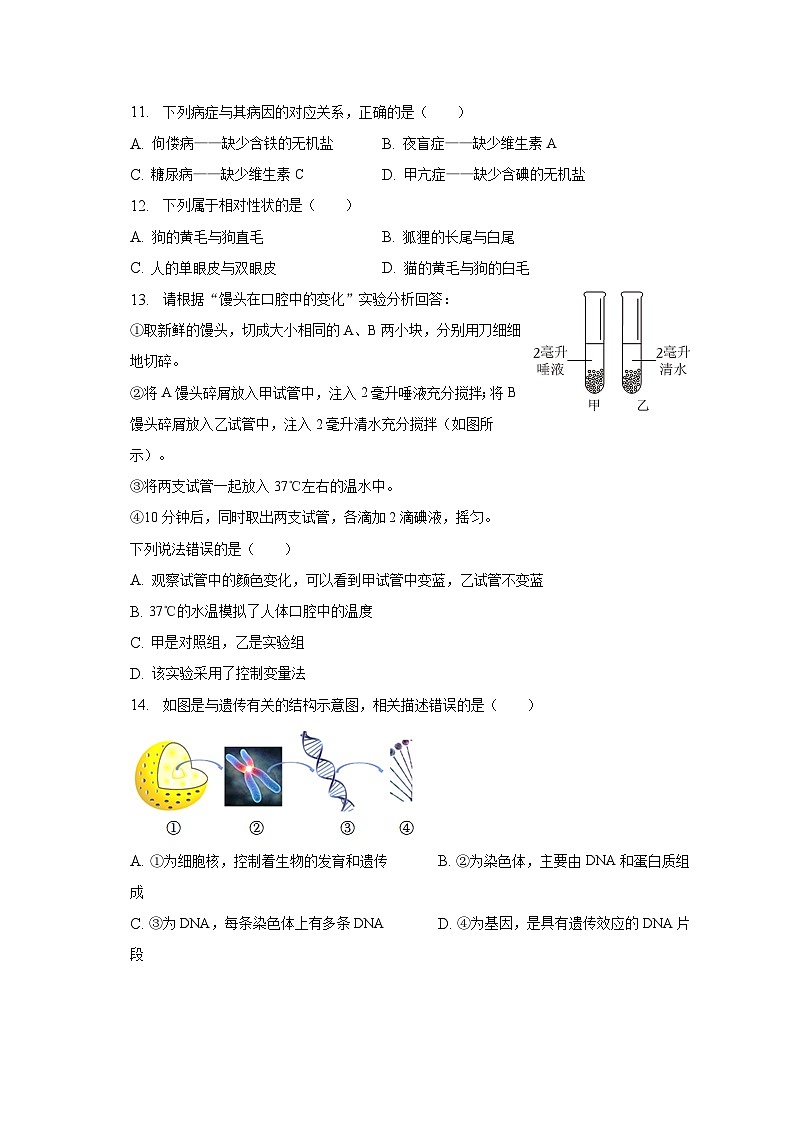 2023年天津市河东区中考生物模拟试卷（含解析）第3页