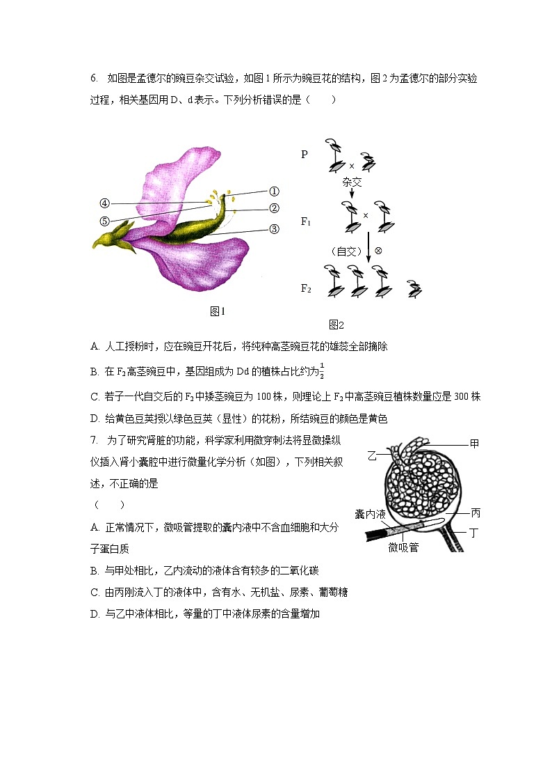 2023年江苏省徐州市邳州市运河中学中考生物一模试卷（含解析）03