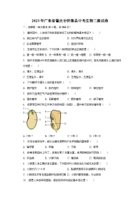 2023年广东省肇庆市怀集县中考生物二模试卷（含解析）