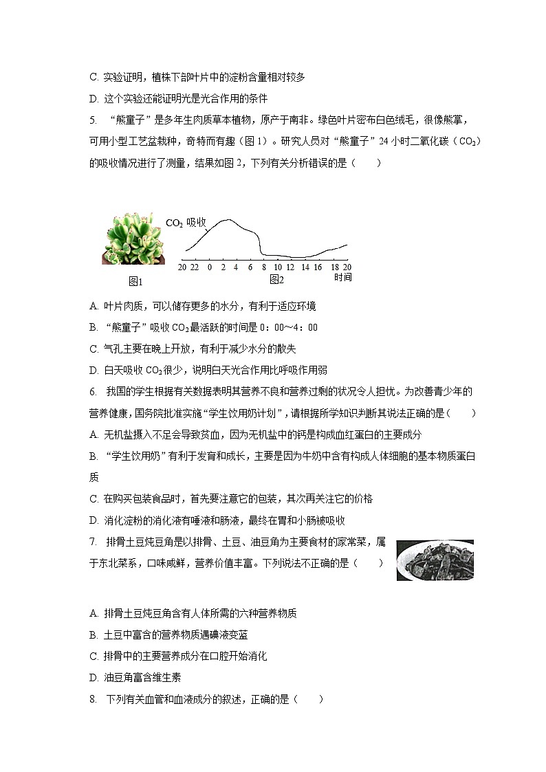 2023年山东省滨州市无棣县中考生物二模试卷（含解析）02