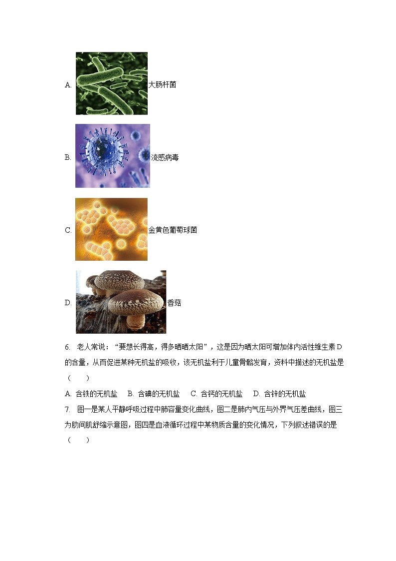 2023年山东省济宁市泗水县中考生物二模试卷（含解析）02