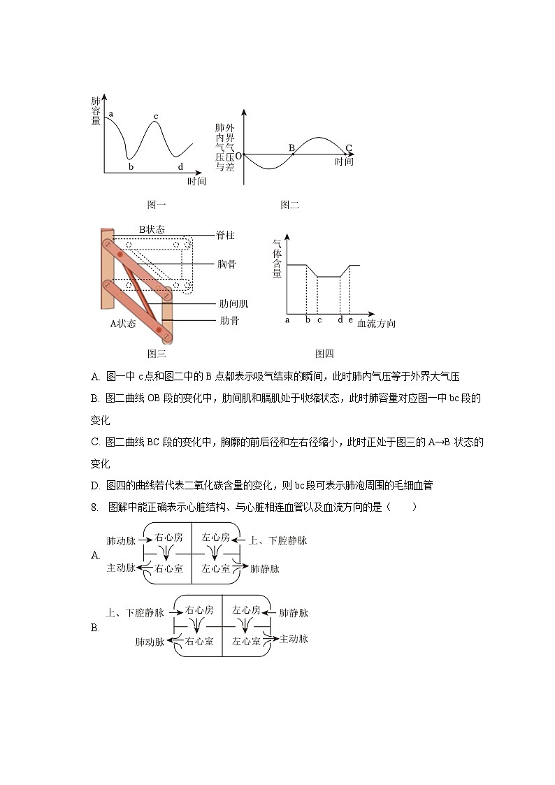 2023年山东省济宁市泗水县中考生物二模试卷（含解析）03