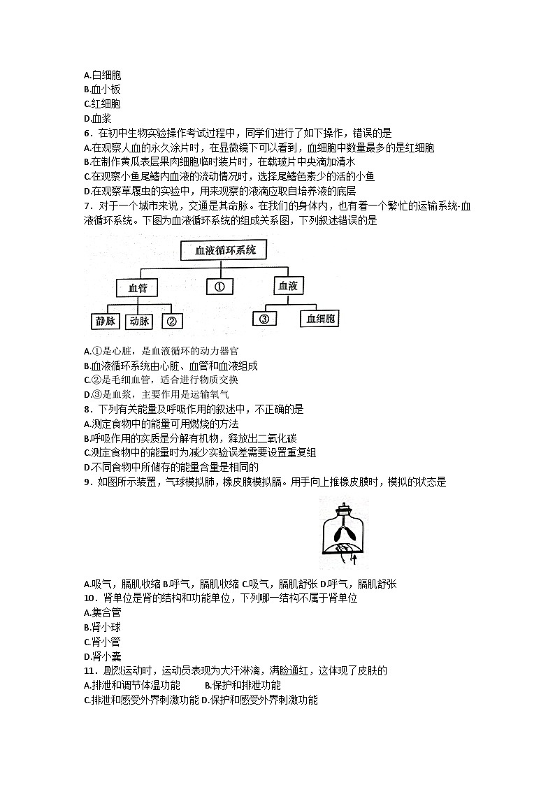 河南省开封市通许县2022-2023学年七年级下学期期未生物试题（含答案）02