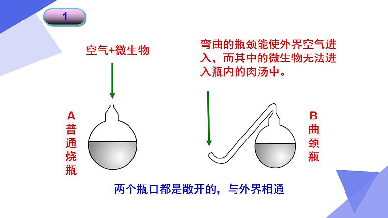 1.3生物学的探究方法课件PPT06