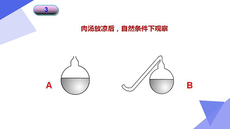 1.3生物学的探究方法课件PPT08