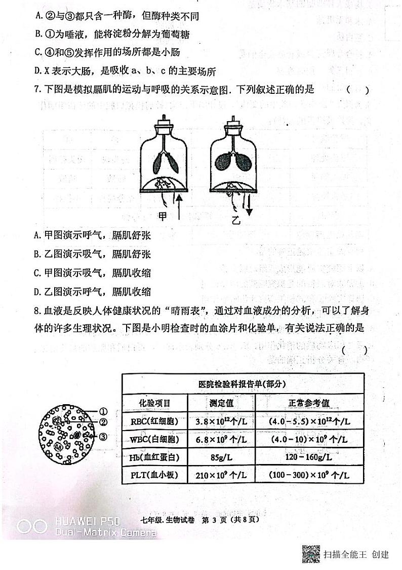 辽宁省丹东市2022-2023学年七年级下学期7月期末生物试题第3页
