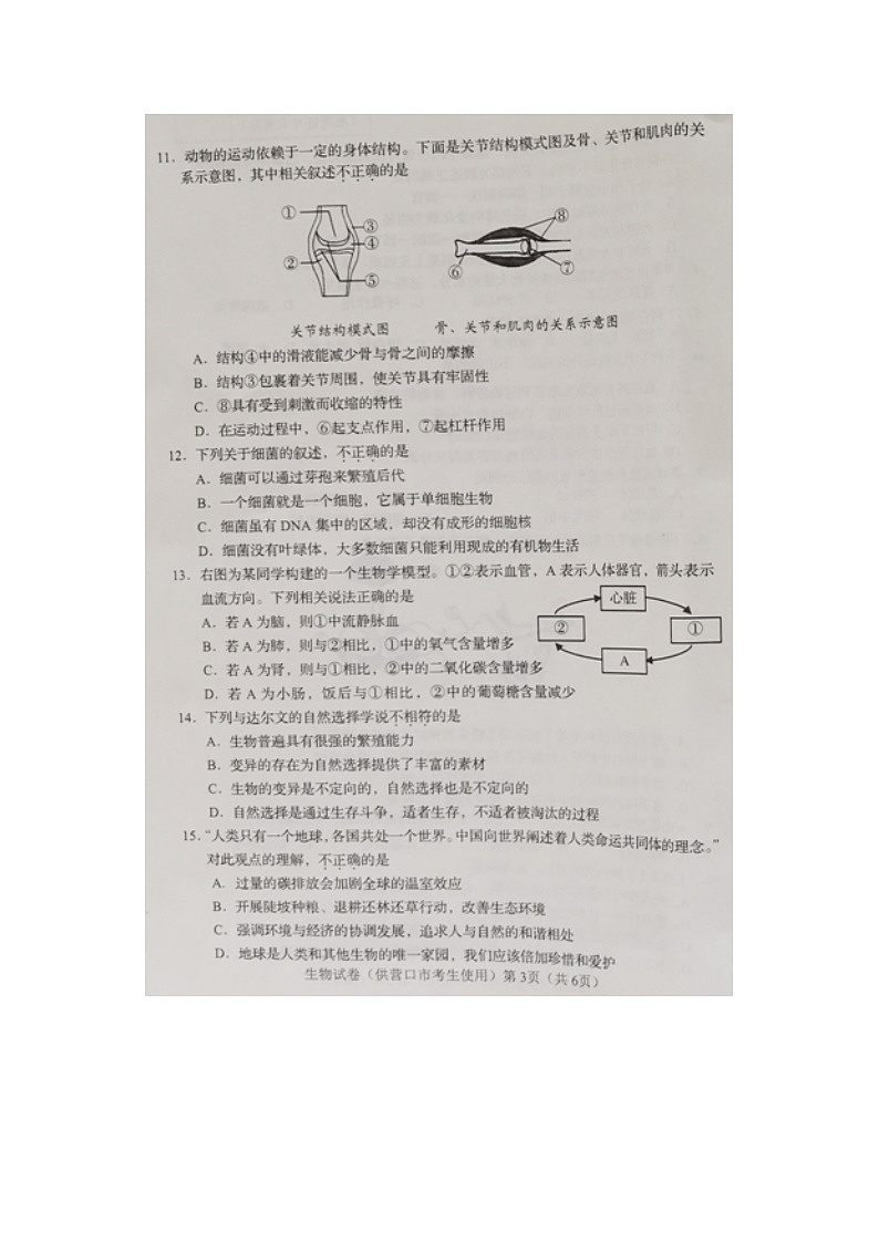 _2021年辽宁省营口市中考生物真题第3页