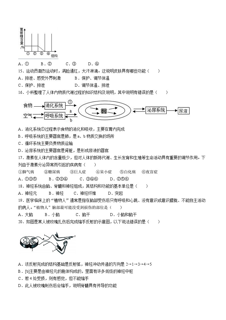 四川省广安市邻水县2022-2023学年七年级下学期期末生物试题（含答案）03