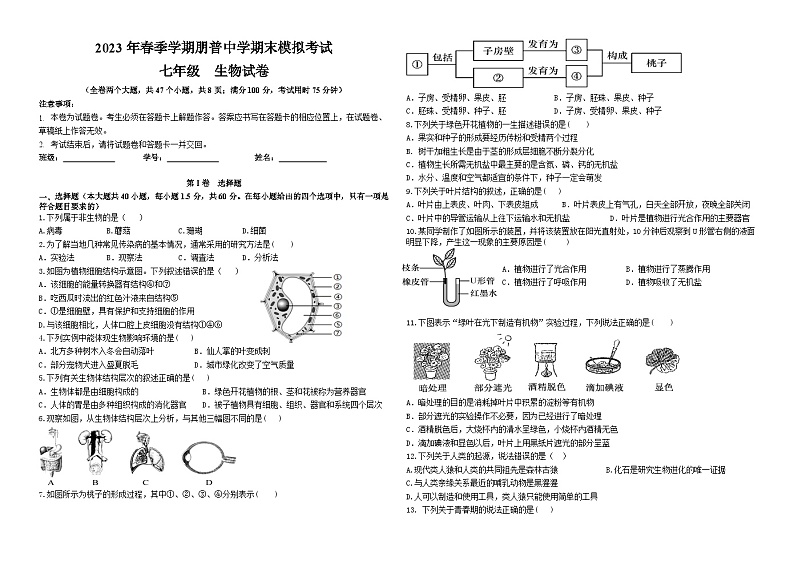 云南省弥勒市朋普中学2022-2023学年七年级下学期期末模拟考试生物试卷（含答案）01