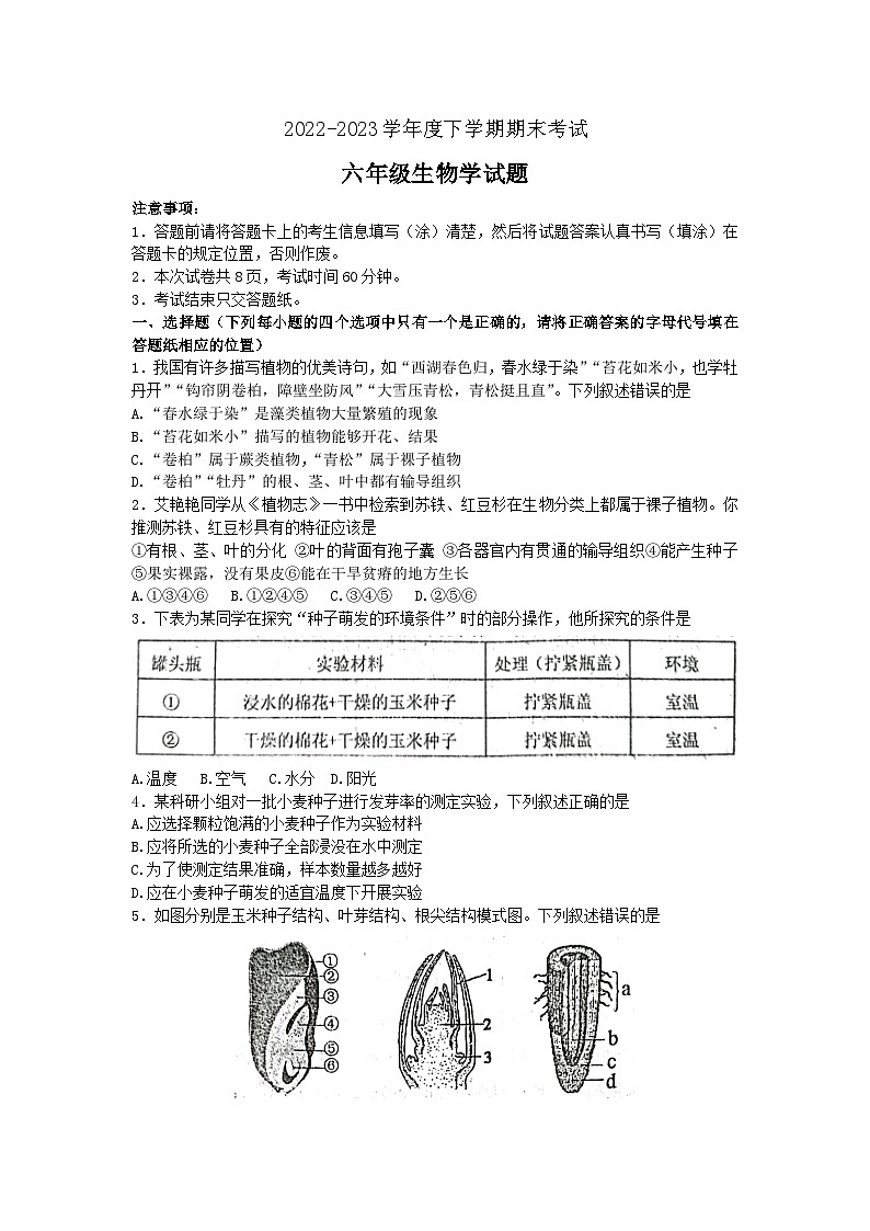 山东省泰安市肥城市2022-2023学年六年级下学期期末考试生物试题（含答案）第1页