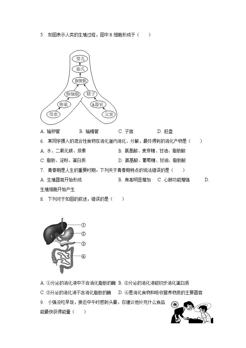 2022-2023学年河北省石家庄市赵县七年级（下）期中生物试卷（含解析）02
