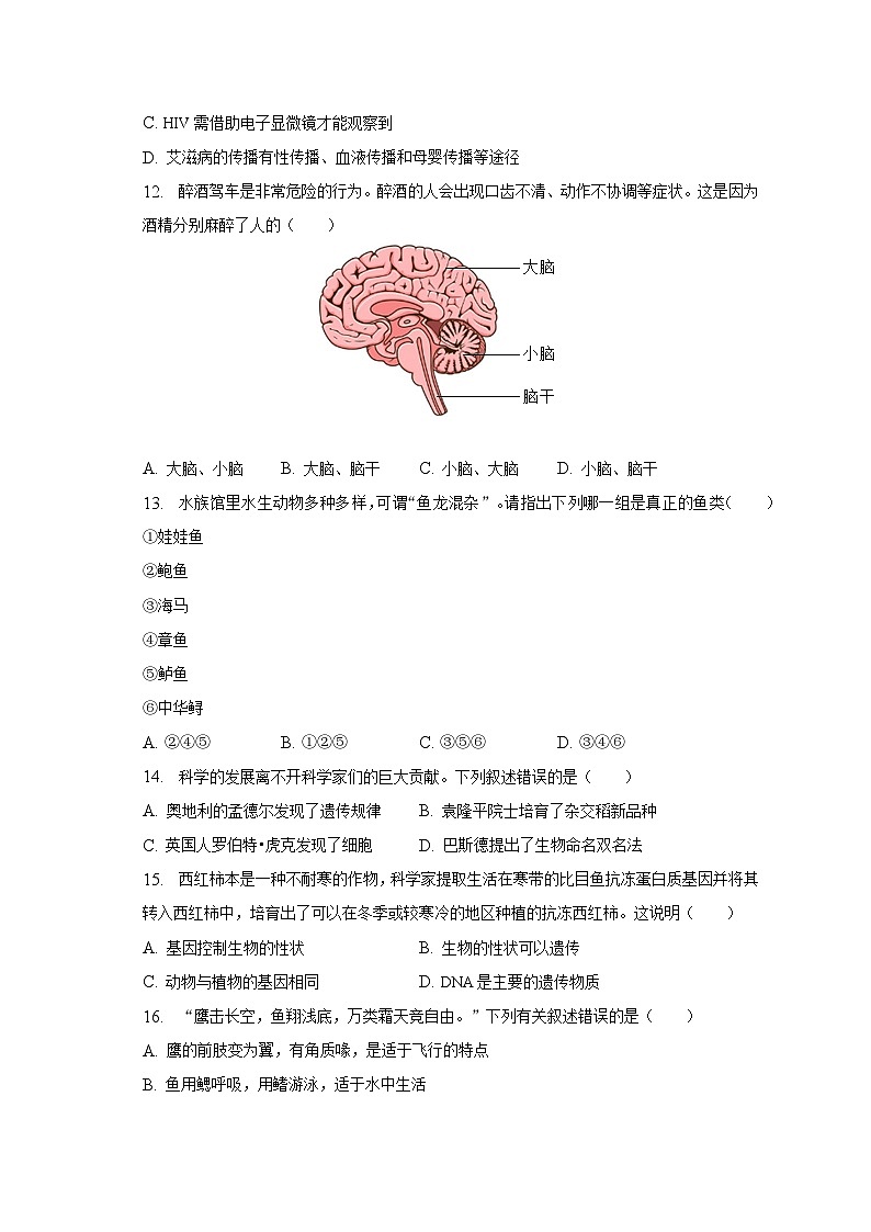2023年宁夏银川市中考生物二模试卷（含解析）03
